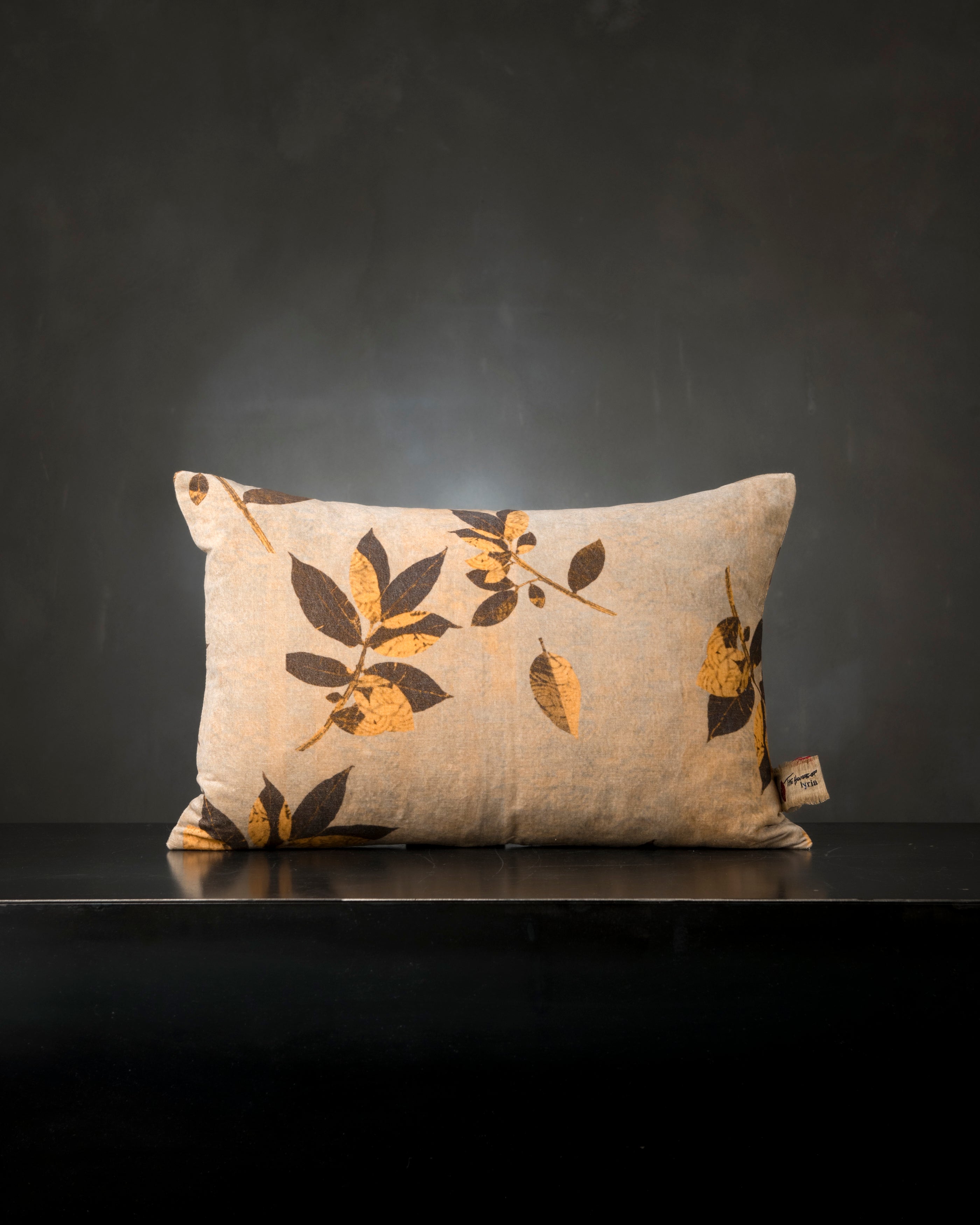 Scripe Pillow